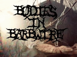 logo Bodies In Barbwire